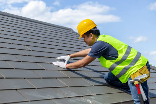 Best Metal Roofing Contractor  in Annandale, MN