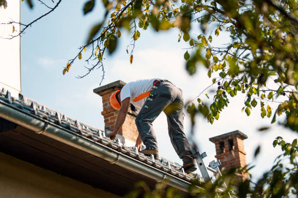 Professional Roofing Contractor in Annandale, MN