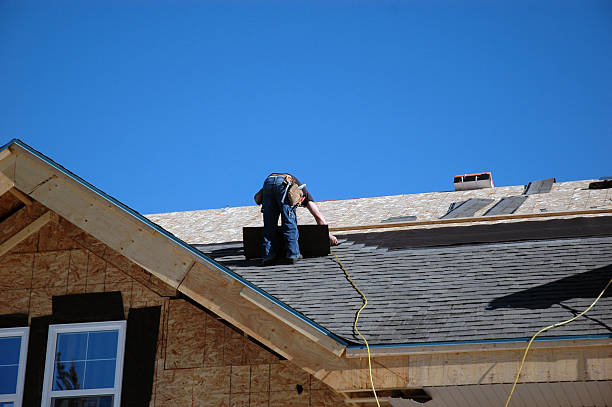 Best Roof Leak Repair  in Annandale, MN