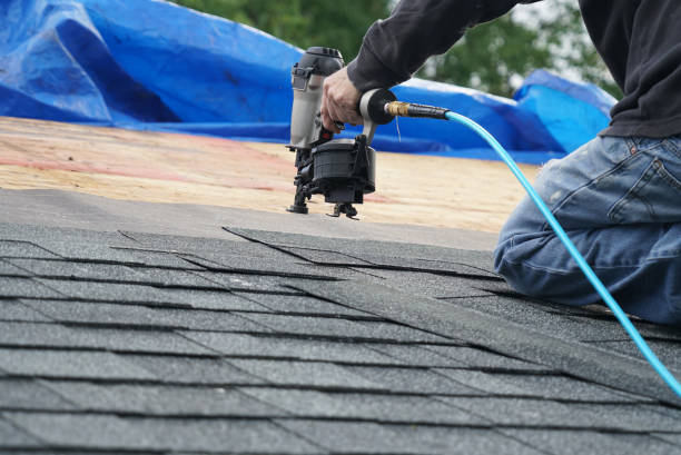 Gutter Installation and Roofing in Annandale, MN