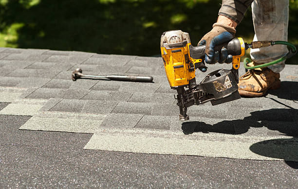 Best New Roof Installation  in Annandale, MN